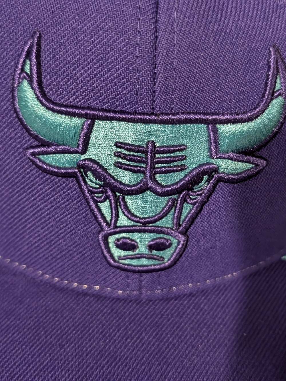 Purple & Teal Basketball Bull Logo Snapback Hat - Picture 7 of 8